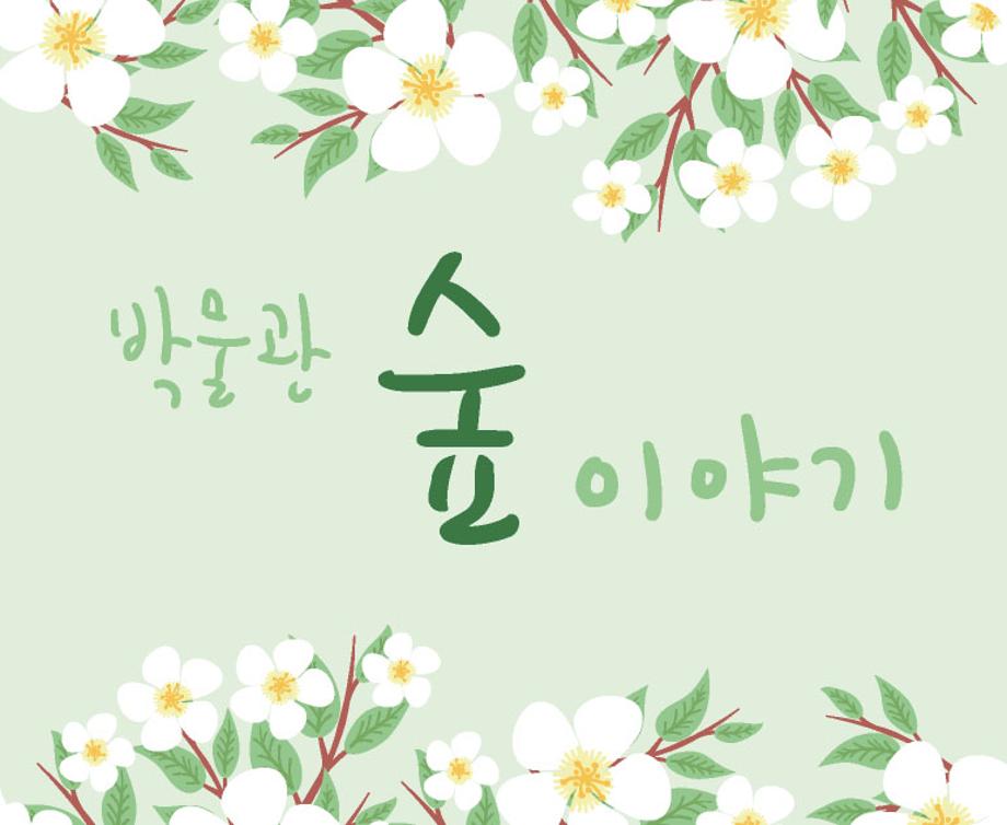 2019년 박물관 숲 이야기